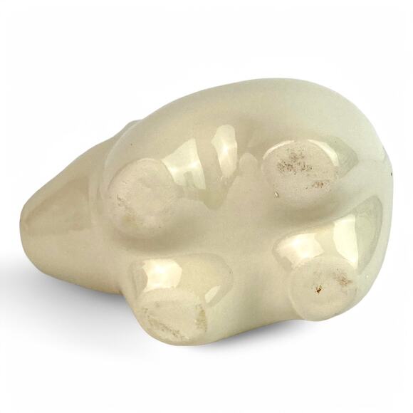 Paul Polar Bear Ceramic Animal Planter Grow Kit Perfect for Succulents - Picture 6 of 6